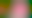 Image was not loaded