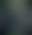Image was not loaded