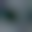 Image was not loaded
