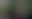 Image was not loaded
