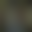 Image was not loaded