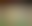Image was not loaded