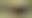 Image was not loaded