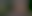 Image was not loaded