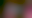 Image was not loaded