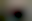 Image was not loaded