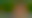 Image was not loaded