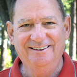 William Samples — Chief Inspector Greyson (voice)