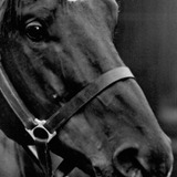 Docs Keepin Time — The Black