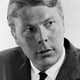 Albert Salmi — Senator Bert McConnadin