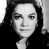 Джули Кобб — Bonnie Sawyer