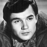 Евгений Леонов-Гладышев — Вася Векшин