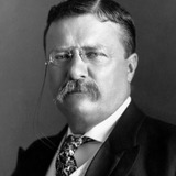 Theodore Roosevelt — Self (archive footage)