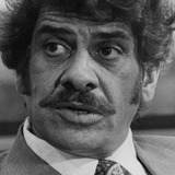 Al Lettieri — Virgil "The Turk" Sollozzo