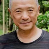 Li Congxi — Wang Tianshui