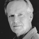 Дэвид Кленнон — Lee Silver