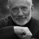 Виктор Мережко — Vladimir Ivanovich Sabur