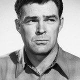 Don Megowan — Captain Huckabee