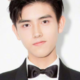 Чэнь Фэй Юй — Chen Baojin