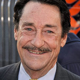 Peter Cullen — Additional Voices