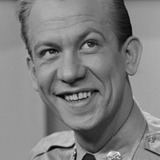 Allan Melvin — Additional Voices (voice)