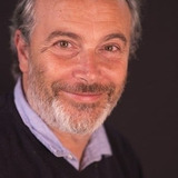 Paolo Sassanelli — Ispettore Capo Gamberini