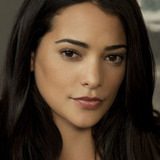 Natalie Martinez — Det. Ariana Sanchez