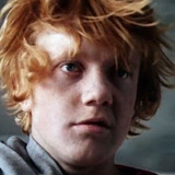 Vasili Skromny — Гусев