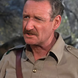 Hedley Mattingly — District Officer Hedley