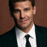 David Boreanaz — Special Agent Seeley Booth