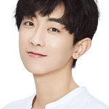 Wang Xudong — Zhen Kaixin