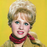 Melody Patterson — Wrangler Jane Angelica Thrift