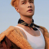 Чжан И Син — Lin Hao