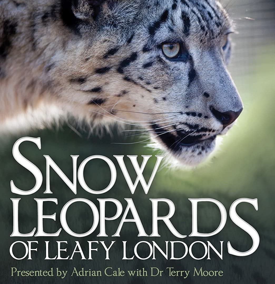 Сериал Snow Leopards of Leafy London