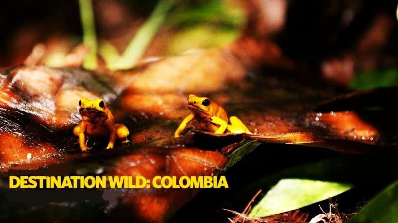 Сериал Destination Wild: Colombia