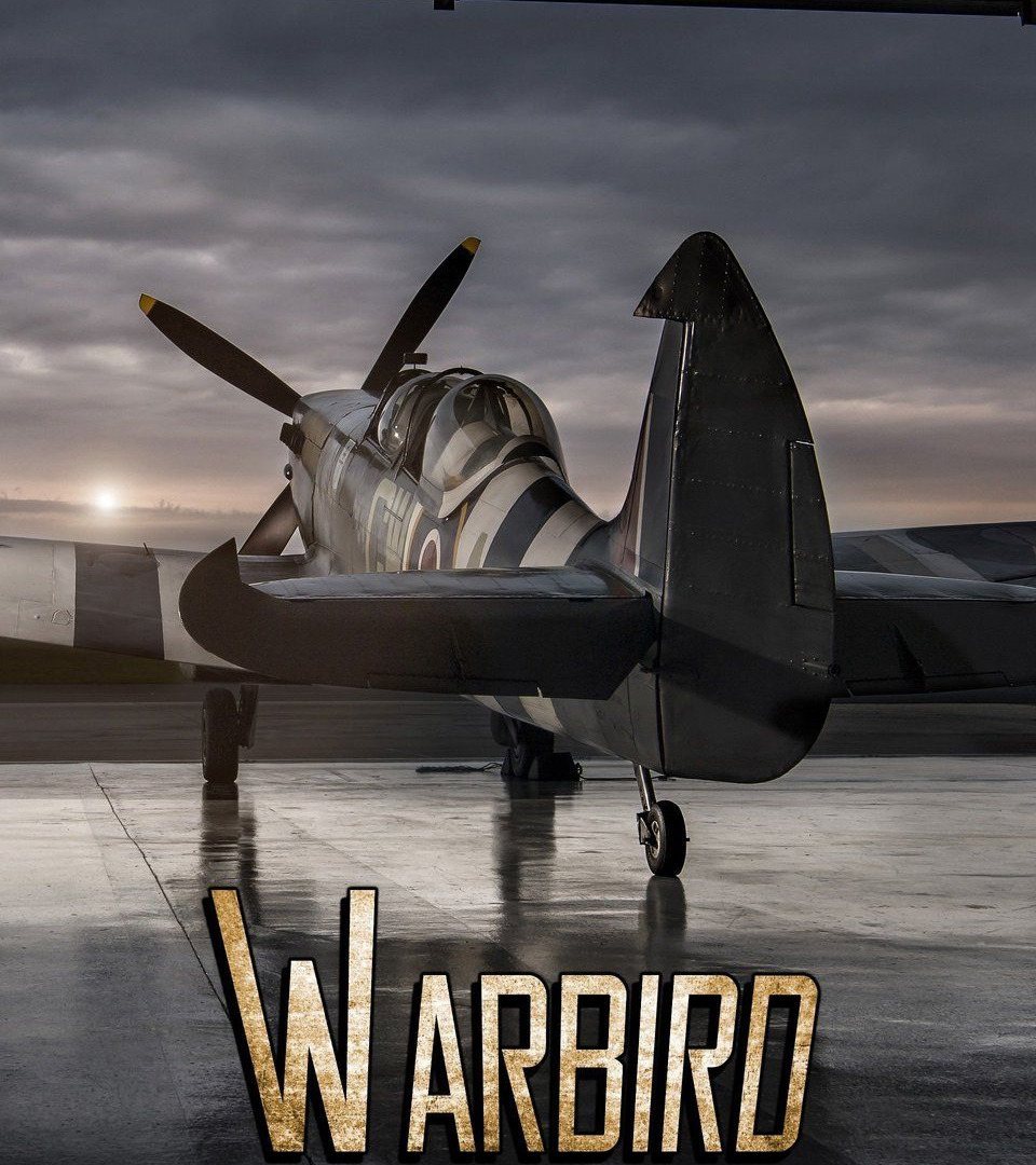 Сериал Warbird Workshop