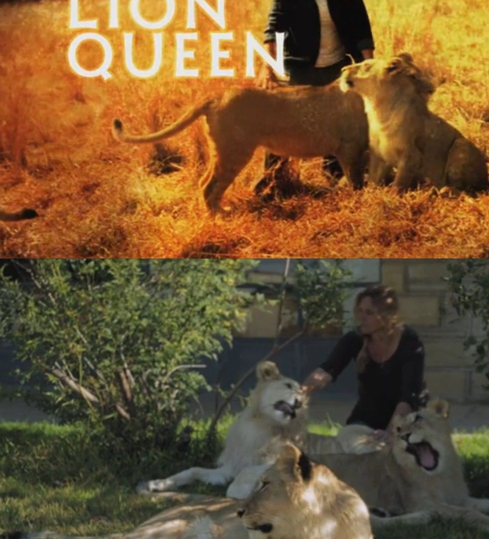 Сериал The Lion Queen