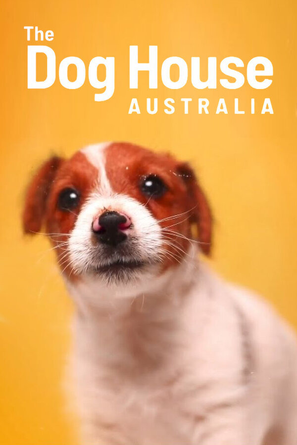 Сериал The Dog House Australia