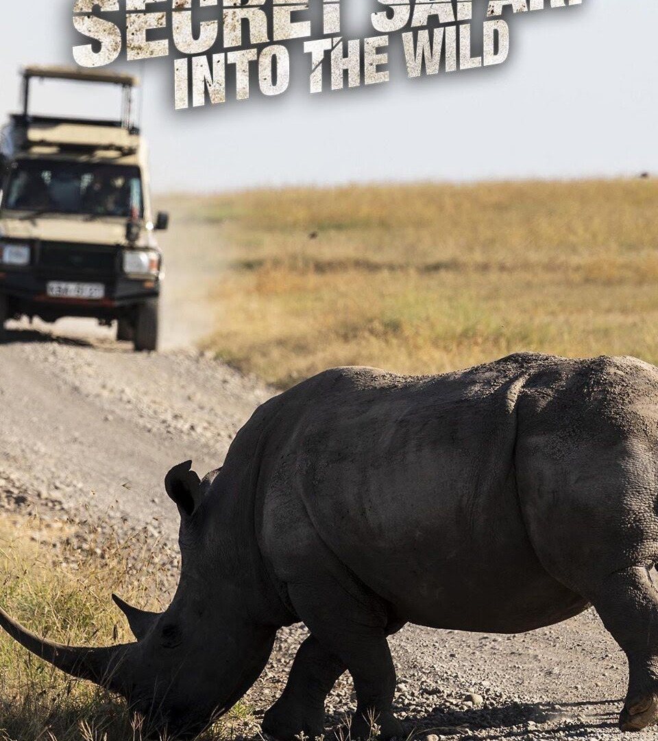 Сериал Secret Safari: Into the Wild