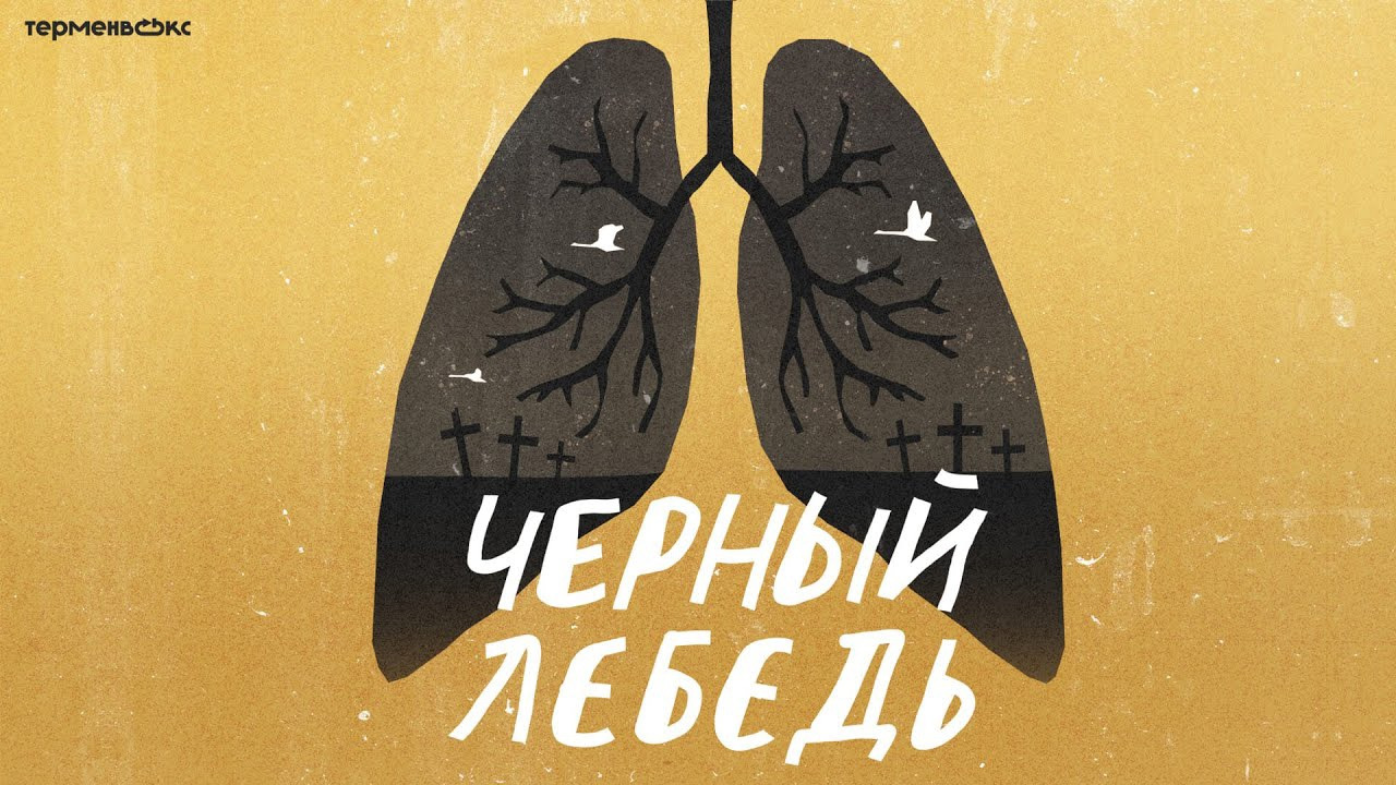 Сериал Чёрный лебедь