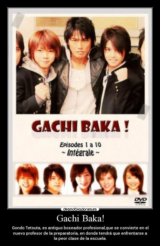 Show Gachi Baka!