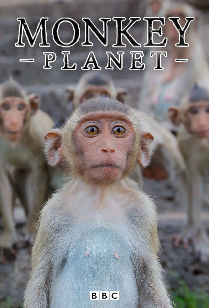 Сериал Monkey Planet