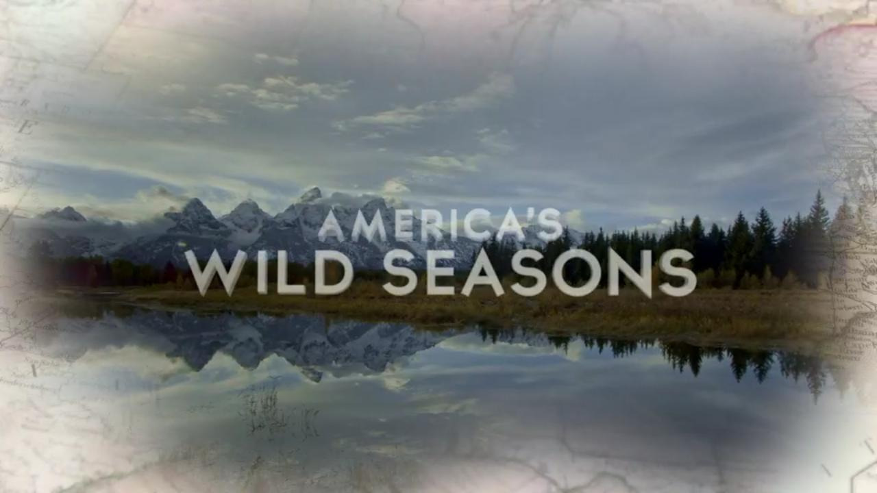 Show America's Wild Seasons