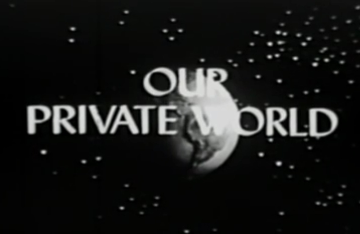 Сериал Our Private World