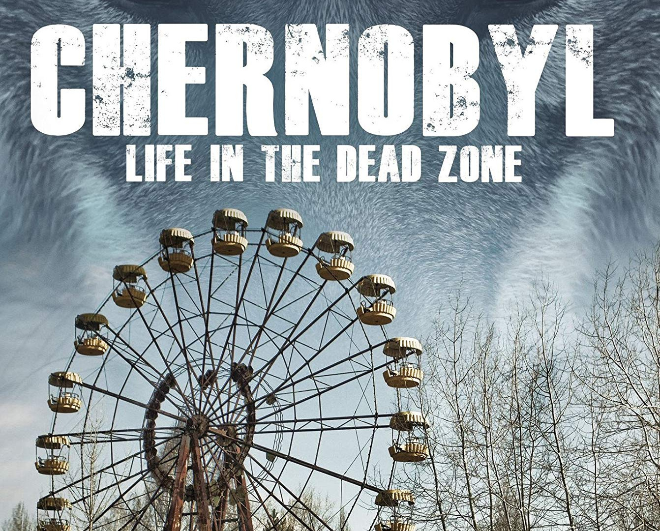 Сериал Chernobyl: Life in the Dead Zone