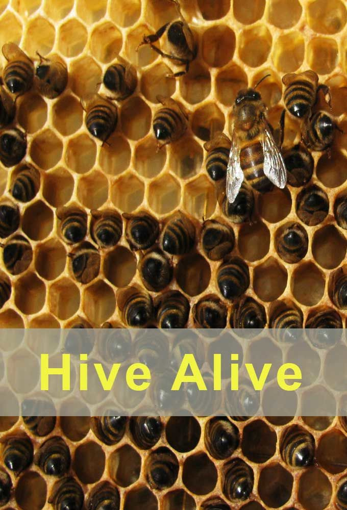 Сериал Hive Alive