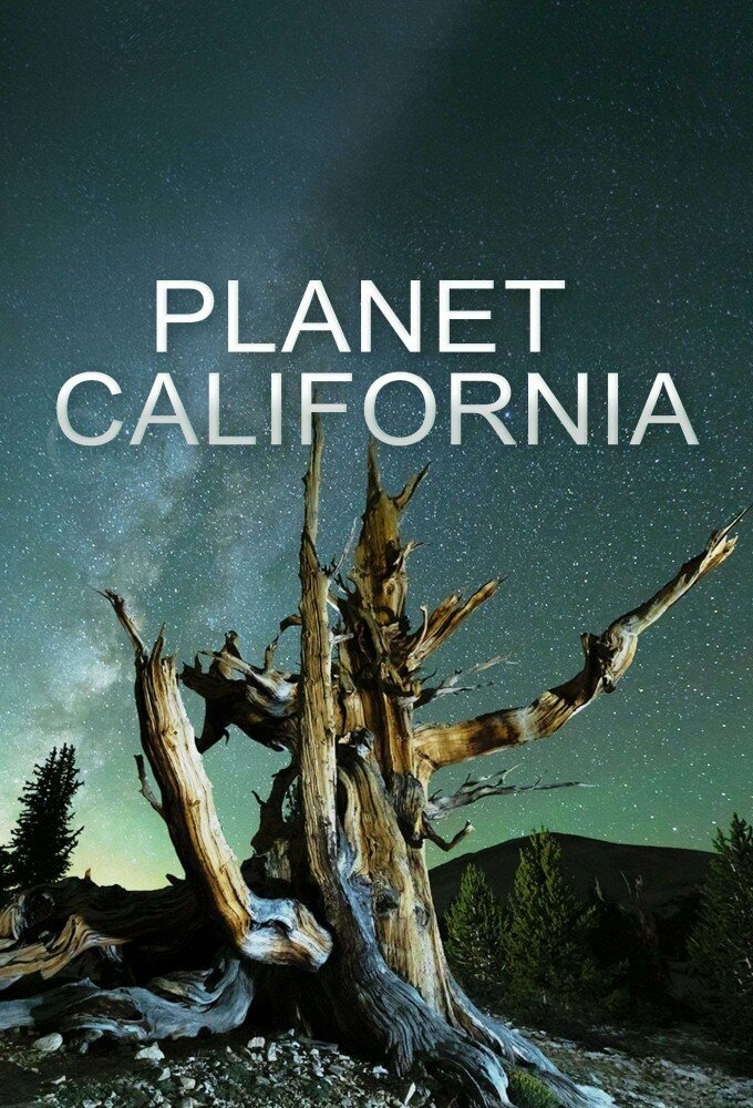 Сериал Планета Калифорния