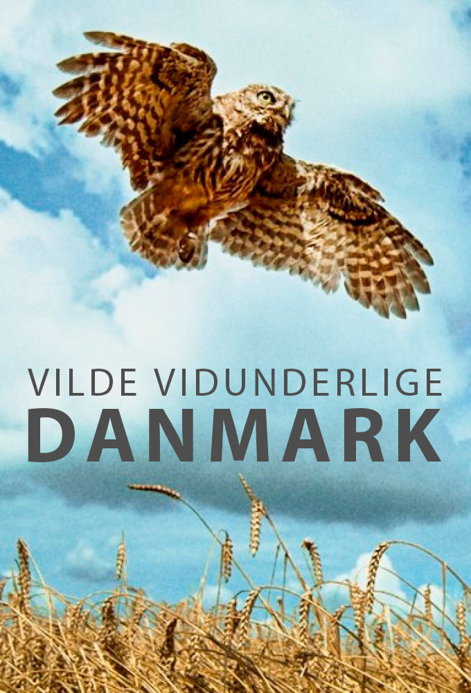 Сериал Удивительная Дания