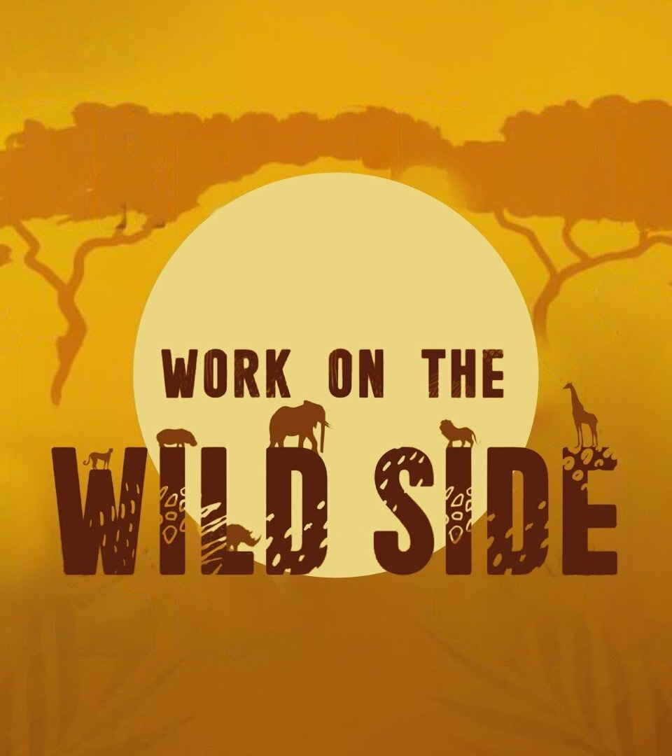 Show Work on the Wild Side