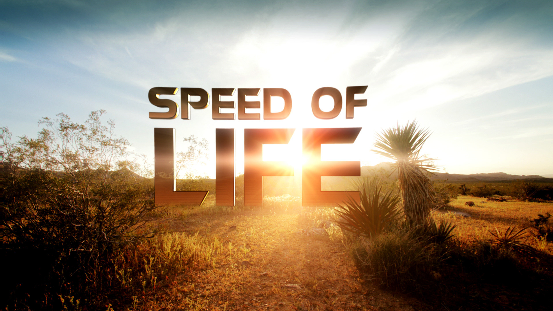 Show Speed of Life